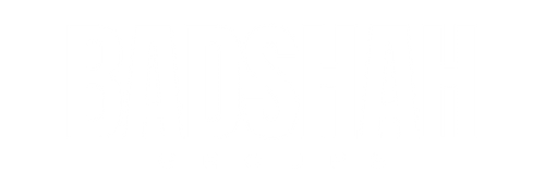 Badshah Groups Logo